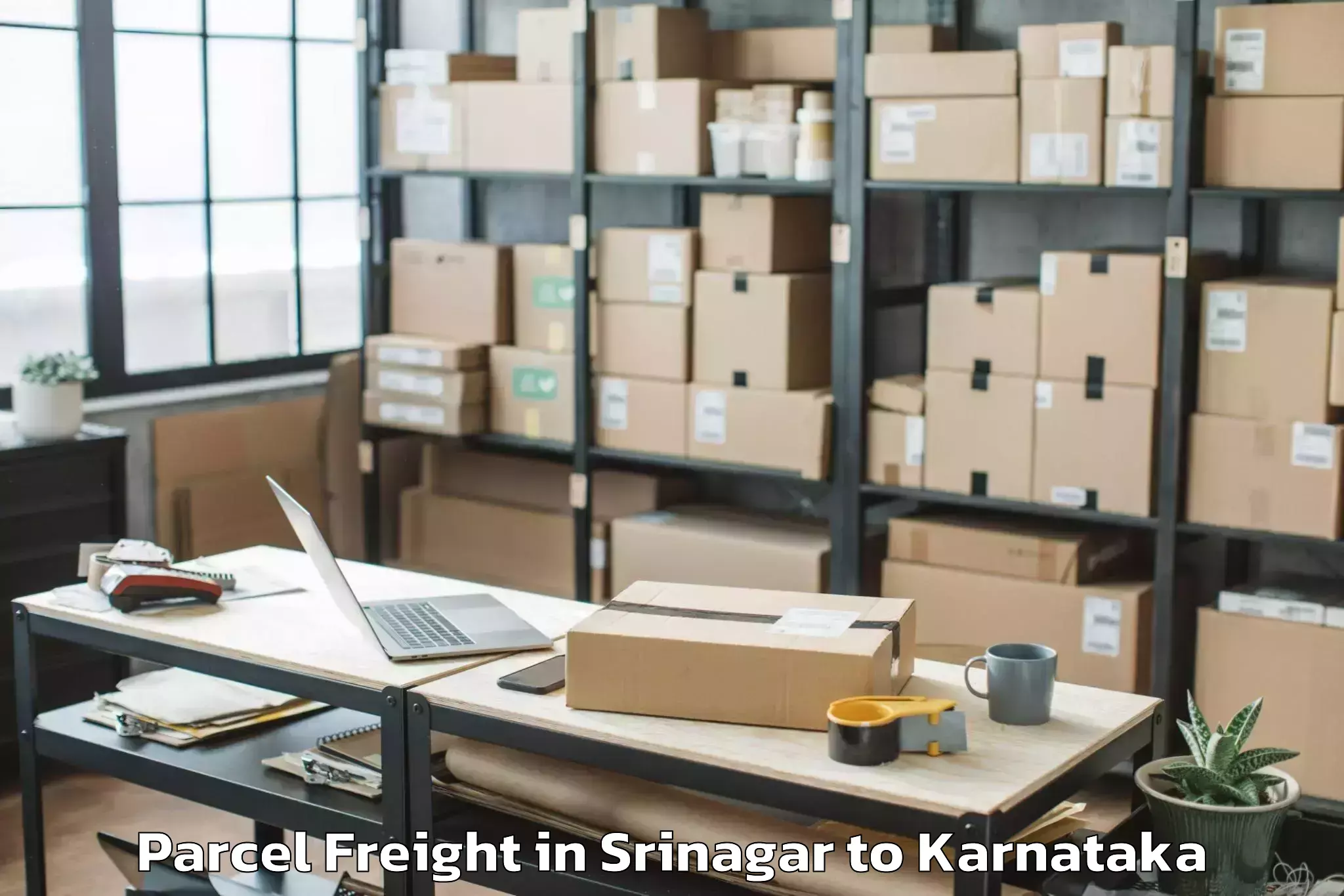 Leading Srinagar to Tiptur Parcel Freight Provider